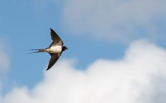DSC_1667.jpg