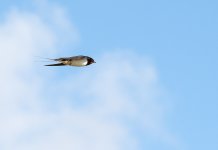 DSC_1670.jpg