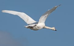 DSC_1693.jpg