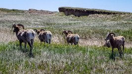 20170514_113048.jpg