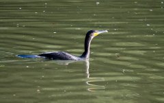 DSC_1720.jpg