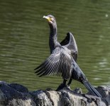 DSC_1729_016.jpg