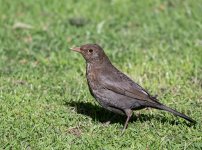 DSC_1835.jpg