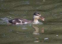 DSC_1758.jpg