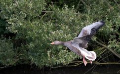 DSC_1769.jpg