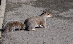 DSC_1817.jpg