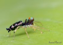 DSC_0856.jpg
