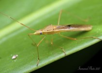 DSC_0867.jpg