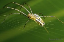 DSC_0870.jpg