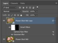 Smart Layer  G Blur Only - Detail.jpg