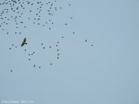 DSCN2273.jpg