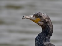 DSC_1743.jpg