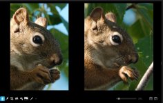 3200 vs 800 ISO on D500.JPG