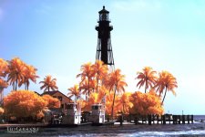2016 IR ReDo-37-4_4988CMA  1-11-17.JPG