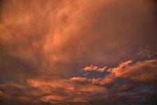 7-25-17-cr__7501450.jpg