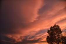 7-25-17-cr__7501453.jpg