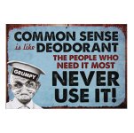 grumpy-old-gits-plaque-common-sense-is-6007894-0-1460757294000.jpg