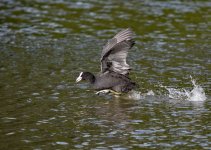 DSC_2029.jpg