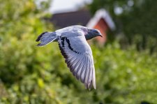 DSC_2041.jpg