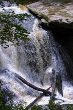 7-26-17 Tinkers Creek-1-17_5013CMA  1-11-17.JPG