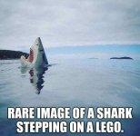 95609ac61b9d85780ad85af54fa697bf.jpg