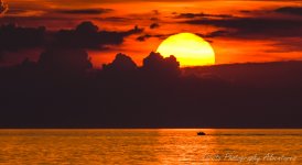 DSC_9391-2.jpg