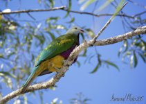 DSC_1235.jpg