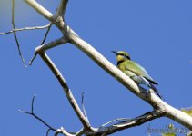DSC_1188.jpg