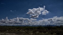 7-28-17-cr__7501466.jpg