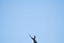 DSC_2168.jpg