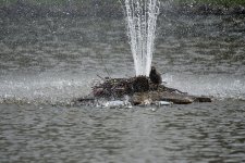DSC_2073.jpg