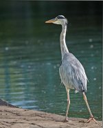 DSC_2106.jpg