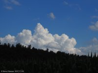 P7240035.jpg