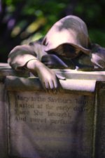 7-29-17 Lakeview  40_5095CMA  1-11-17.JPG