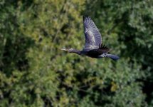 DSC_2173.jpg