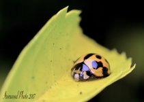 DSC_1350.jpg