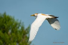 D73_1001-Edit-2.jpg