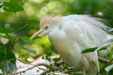 Knoxville Zoo--2.jpg
