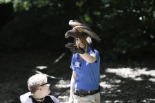 _DSC6799 - Original.jpg