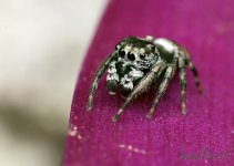 DSC_1409.jpg
