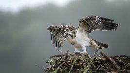 _DSC5716-Edit-2.jpg