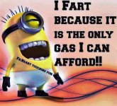c6920717c1adc3e8a8ec6e20cd32fd43--funny-minion-jokes-a-minion.jpg