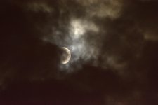 8-1-17-cr__D7K7394.jpg