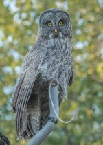 _IVA6602-Edit-2.jpg