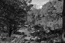 8-4-17-cr-bw__7501606.jpg