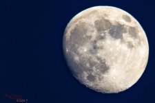 20170804 Moon -2568-Edit.jpg