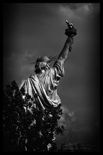 E75_6177-Edit-copy.jpg