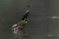 _DSC7090-Edit.jpg