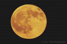 8-7-17-cr__D7K7425.jpg