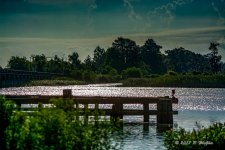 D73_1122-Edit.jpg